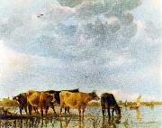 CUYP, Aelbert Cows in the Water oil on canvas